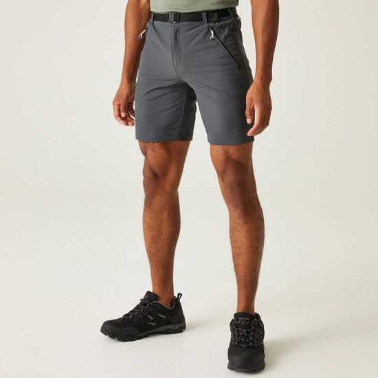 Regatta Xert III Stretchshorts Herren Wandershorts Outdoor-Hose grau