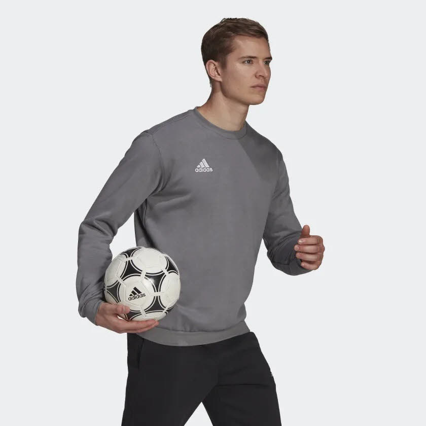 Adidas Entrada 22 Sweat Team Sweatshirt Alltag Freizeit Herren grau