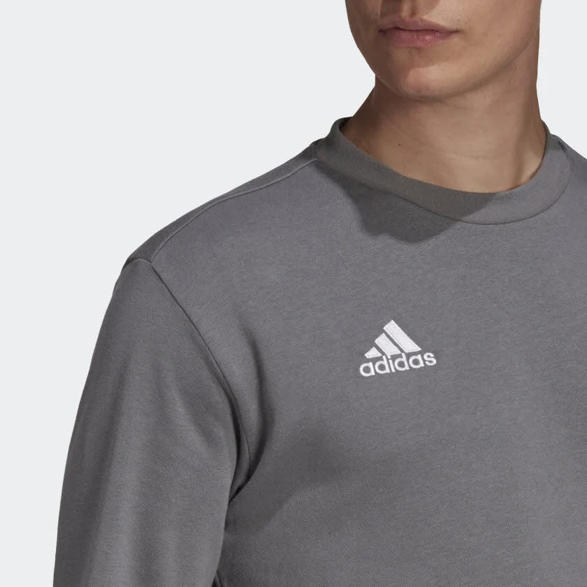 Adidas Entrada 22 Sweat Team Sweatshirt Alltag Freizeit Herren grau