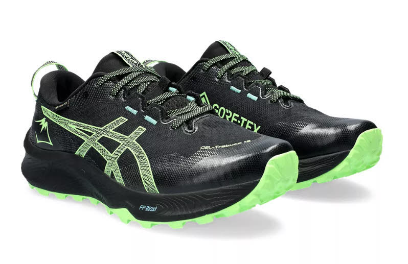 ASICS GEL-TRABUCO 12 GTX Laufschuh Joggingschuh Trailrunning Herren schwarz