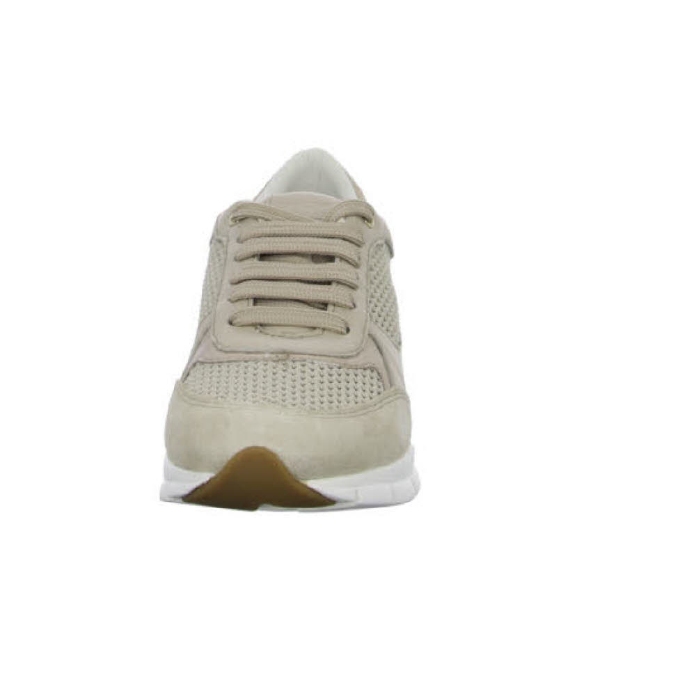 Geox SUKIE A Damen Sneaker Low Freizeitsneaker taupe