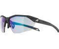 ALpina TWIST SIX S HR VM Unisex Sportbrille schwarz