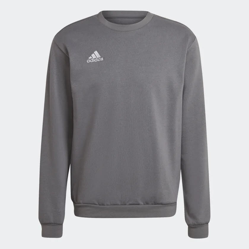 Adidas Entrada 22 Sweat Team Sweatshirt Alltag Freizeit Herren grau